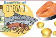 Sources of Omega 3 Fatty Acids