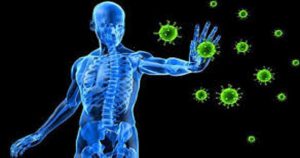 Impact of nutrition on immune system