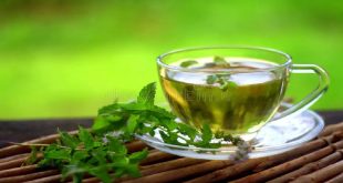 Benefits of taking spearmint tea