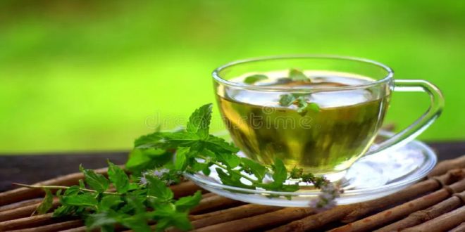 Benefits of taking spearmint tea