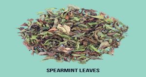 Benefits of spearmint tea