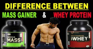 Mass Gainer VS protein powders