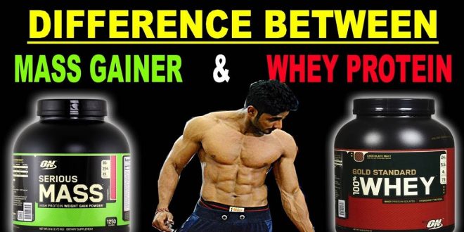 Mass Gainer VS protein powders