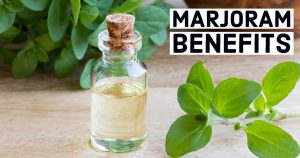 Marjoram Benefits