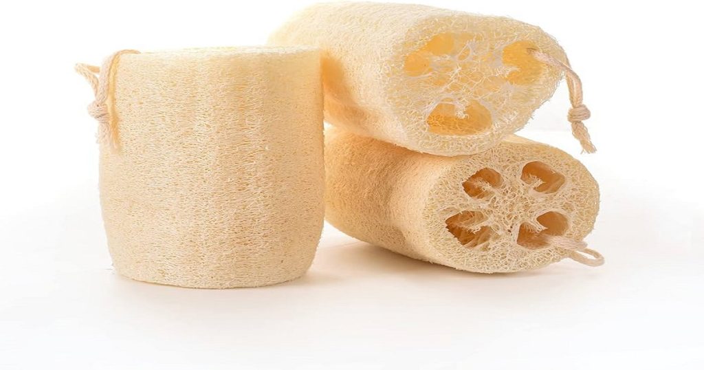 Natural Loofah vs. Synthetic Sponges: Which One Should You Choose ...