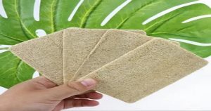 Natural Loofah vs. Synthetic Sponges: Which One Should You Choose ...