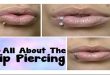 everything about lip piercing