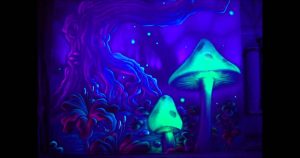 Shroom Trip